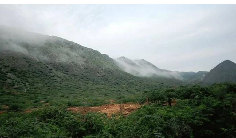 Aravalli की नई परिभाषा पर सवाल, वरिष्ठ वकील ने CJI से की पुनर्विचार की मांग: पर्यावरण संरक्षण पर खतरा?